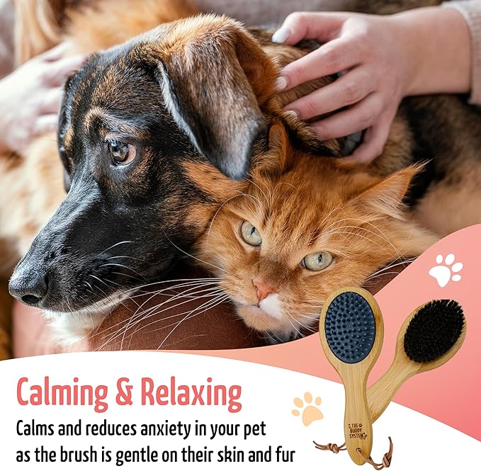 The Buddy System Combo Bristle Pet Brush, 2-in-1 Brush, Durable Rubber Side and Soft Boar Bristle Side - All Pets and Coat Lengths - Top Coat Massage for Cats &amp; Dogs - 1 Pack
