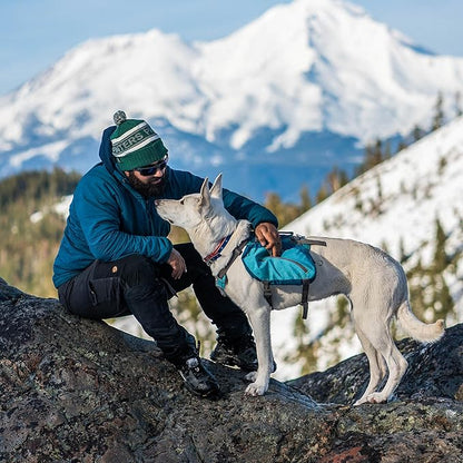 Kurgo Dog Saddlebag Backpack, Back Pack Dog Harness, Hiking Pack for Dogs, Packs for Pets to Wear, Camping &amp; Travel Vest Harness, Reflective, Lightweight, Baxter Pack, for Medium &amp; Large Pets