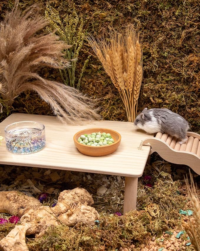 Niteangel Hamster Snack &amp; Treats Toy - Small Animal Natural Treat for Dwarf Syrian Robo Hamsters Gerbils Mice Lemmings Degus or Other Small-Sized Pets
