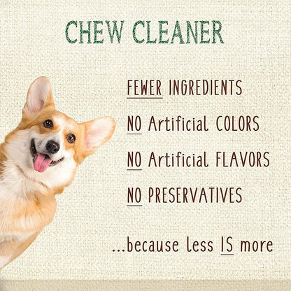Nylabone Nutri Dent Dog Dental Chews - Natural Dog Teeth Cleaning &amp; Breath Freshener - Dental Treats for Dogs - Filet Mignon Flavor, Mini (32 Count)