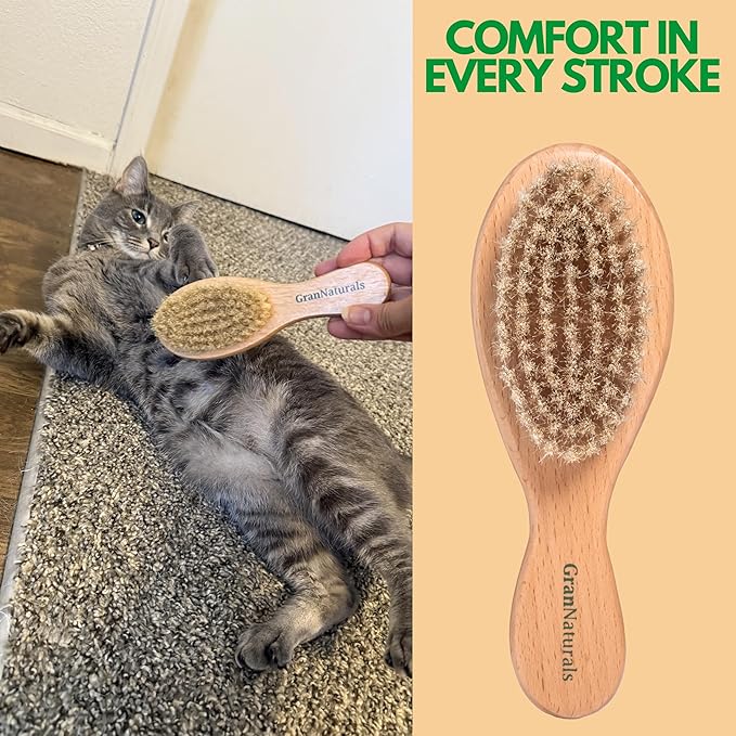 GranNaturals Boar Bristle Soft Cat Brush for Indoor, Outdoor, Short Haired Cats, Kittens, Small Dog, Rabbit, Furry Pets - Gentle Grooming on Sensitive Hair Coat &amp; Tail with Durable Wooden Handle