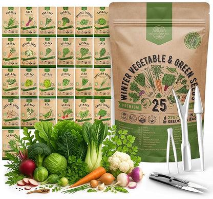 Organo Republic 25 Winter Vegetable &amp; Green Seeds Variety Pack for Outdoors &amp; Indoor Home Gardening 27670+ Non-GMO Heirloom Seeds: Broccoli Beet Carrot Collard Lettuce Radish Spinach Pea Kohlrabi