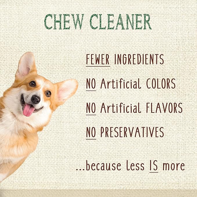 Nylabone Nutri Dent Dog Dental Treats - Natural Dog Teeth Cleaning &amp; Breath Freshener - Dental Treats for Dogs - Filet Mignon Flavor, Mini (78 Count)