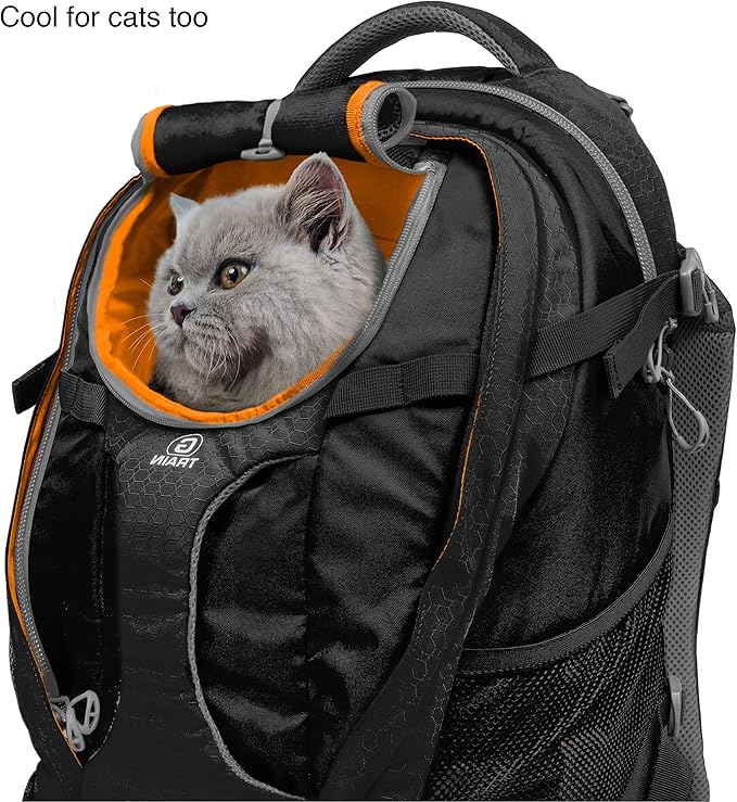 Kurgo G-Train - Dog Carrier Backpack for Small Pets - Cat &amp; Dog Backpack for Hiking, Camping or Travel - Chest Straps &amp; Hip Belt - Reflective - Two Water Bottle Sleeves - Waterproof Bottom (Black)