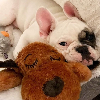 Original Snuggle Puppy Toys - Heartbeat Puppy for Dogs - Pet Anxiety Relief and Calming Aid - Comfort Dog Toys for Behavioral Training