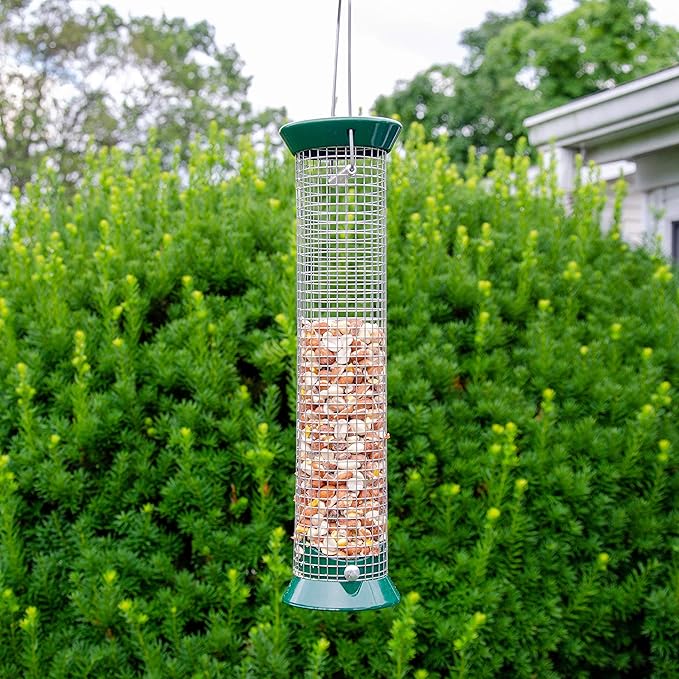 Lyric Woodpecker Wild Bird Seed, No Waste Bird Seed with Nuts, Dried Fruit &amp; Shelled Seeds - 5 lb. Bag