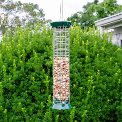 Lyric Woodpecker Wild Bird Seed, No Waste Bird Seed with Nuts, Dried Fruit &amp; Shelled Seeds - 5 lb. Bag