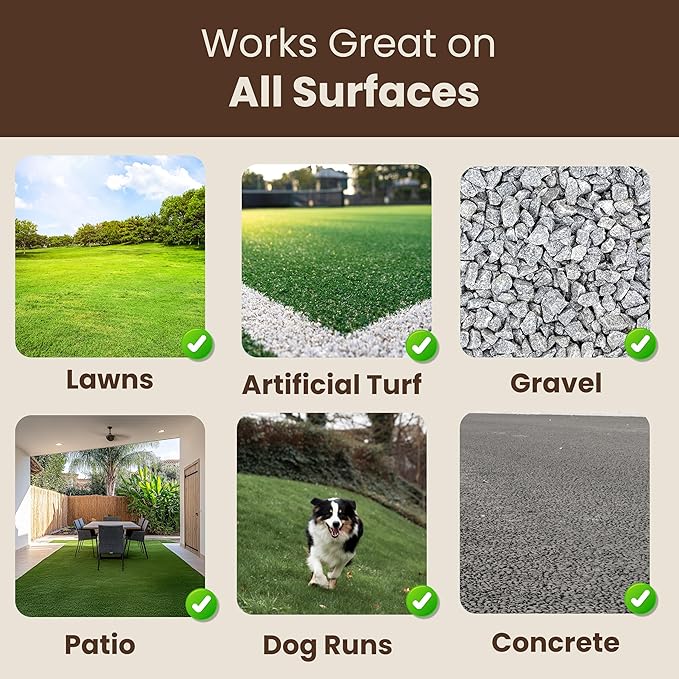 Doodust Dog Poop Clean Up Powder, Poop Hardener &amp; Yard Cleaner, Biodegradable, Pet-Safe, Stops Odor and Makes Pickup Easy