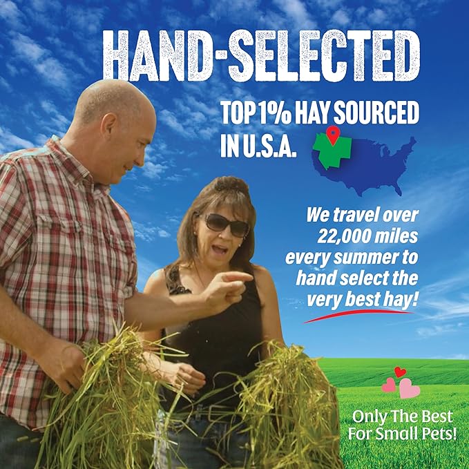 Small Pet Select 1st Cutting Timothy Hay, Animal Food for Guinea Pig, Rabbit, Hamster, Bunny, or Chinchilla, Natural Hay Grown in the USA, 20lb