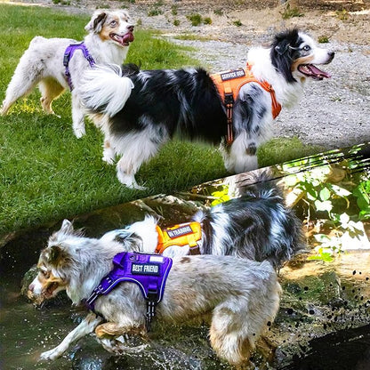 rabbitgoo Tactical Dog Harness for Large Dogs, No Pull Military Service Vest with Handle &amp; Molle, Easy Control for Training Walking, Adjustable Reflective Straps, Purple, XL