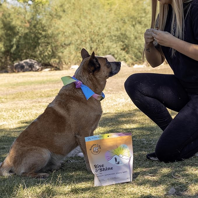 Rise &amp; Shine Dog Treats, Chicken Jerky, Snack Bars, Puppy Training Treats, Natural Superfood, Grain, Corn, Poultry &amp; Soy Free, 16oz