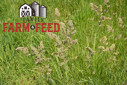 | Alfalfa Hay Food | Small Pet | Young and Adult | Cubes | 4 Pounds