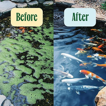 Pond Water Treatment Pods - 2X Strength Beneficial Pond Water Treatment w/Barley Straw for Reducing Sludge and Odors in Koi Ponds and Natural Ponds - Safe for Fish, Pets, &amp; Swimming - 5lb.