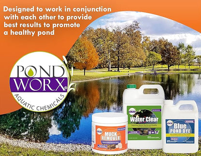 PondWorx Pond Bacteria - Formulated for Large Ponds, Water Features and Safe for Koi - Gallon
