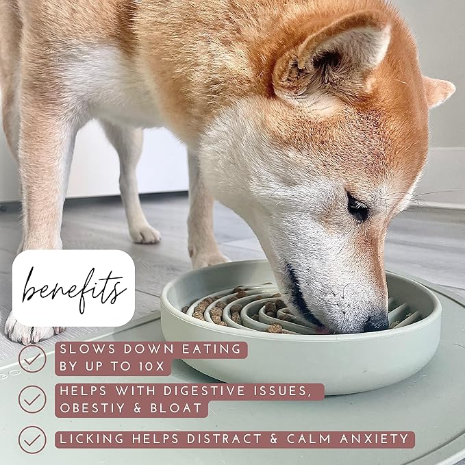 The Slowdown Bowl Silicone Slow Feeder for Dogs &amp; Puppies, Slow Eating, Modern Lick Mat Design, Reduces Gulping, Fits 2 Cups 7.5” Across x 1.5” Tall, Mealtime Challenge, Medium-Spruce