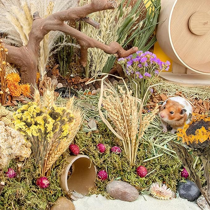 Natural Ear of Grain Flower&amp;Herb Bedding Mate Habitat Decor, Adding Fun Hamster Accessories for Hamsters Gerbils Lemming
