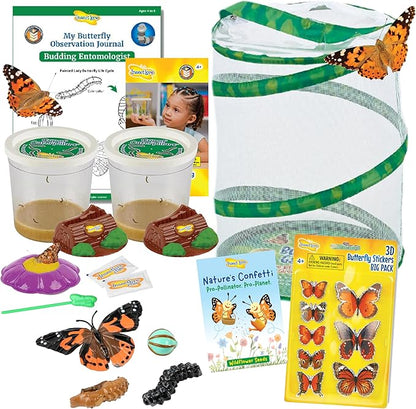 Insect Lore Butterfly Garden Kit with Live Caterpillars – Grow 10 Painted Lady Butterflies | STEM Learning Activity, Habitat with Journal, Stickers, Seeds &amp; Figurines | As Seen on TV