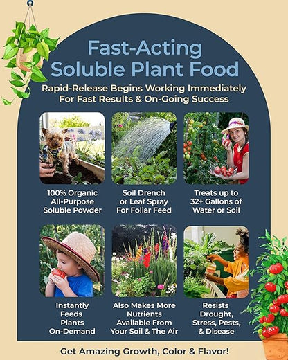 Organic Plant Magic - Truly Organic™ Fast-Acting Water Soluble Plant Food - All-Purpose Fertilizer Concentrate for Flower, Vegetable, Herb, Fruit Tree, Garden &amp; Indoor Houseplants [One 1/2 lb Bag]