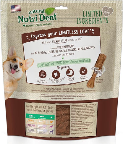 Nylabone Nutri Dent Dog Dental Chews - Natural Dog Teeth Cleaning &amp; Breath Freshener - Dental Treats for Dogs - Filet Mignon Flavor, Mini (160 Count)