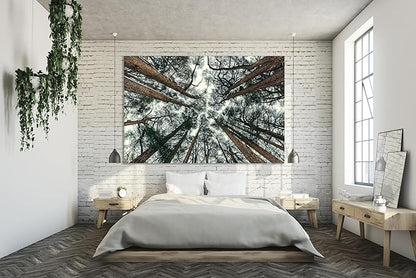 Nature Wall Art Prints - Ocean Forest Mountain Lake Canvas Landscapes - Small to Extra Large Living Room Bedroom Kitchen Bathroom Décor (Trees and Sky, 35L" x 53W")