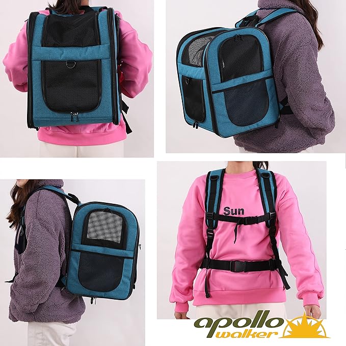 Apollo Walker Dog &amp; Cat Carrier Backpack for 4-15lb Pets - Ventilated Safe Design with Padded Back Support, Breathable Mesh Pet Backpack for Hiking, Travel, Outdoor (Teal)