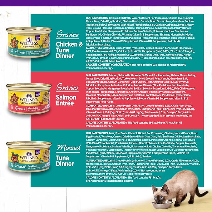 Wellness Complete Health Gravy &amp; Minced Adult Wet Cat Food, Natural, Protein-Rich, Grain Free, 3 Ounce, 12 Pack, (Salmon, Tuna, and Chicken Variety Pack)