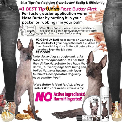 The Blissful Dog Xoloitzcuintli Nose Butter for Dry, Cracked Skin, Lick-Safe Dog Nose Balm with Moisturizing Shea Butter, Almond, Olive, and Essential Oils, Pet Supplies, Uncented, 2 oz.