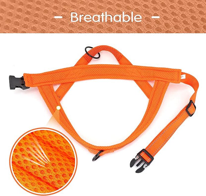 Didog No Pull Dog Harness with Soft Mesh Padded,Reflective &amp; Quick Fit Light Weight Dog Strap Vest Harness,Easy for Walking Training (M:Chest 21-26", Orange)