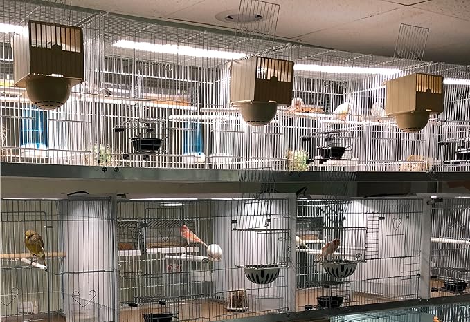HappyBird Lightning (A Divison of M&amp;M Cage) 24" LED linkable Light bar Without Power Source for Multiple Bird Breeder Cages, Full Spectrum LED. Will NOT Run ON ITS OWN (Single)