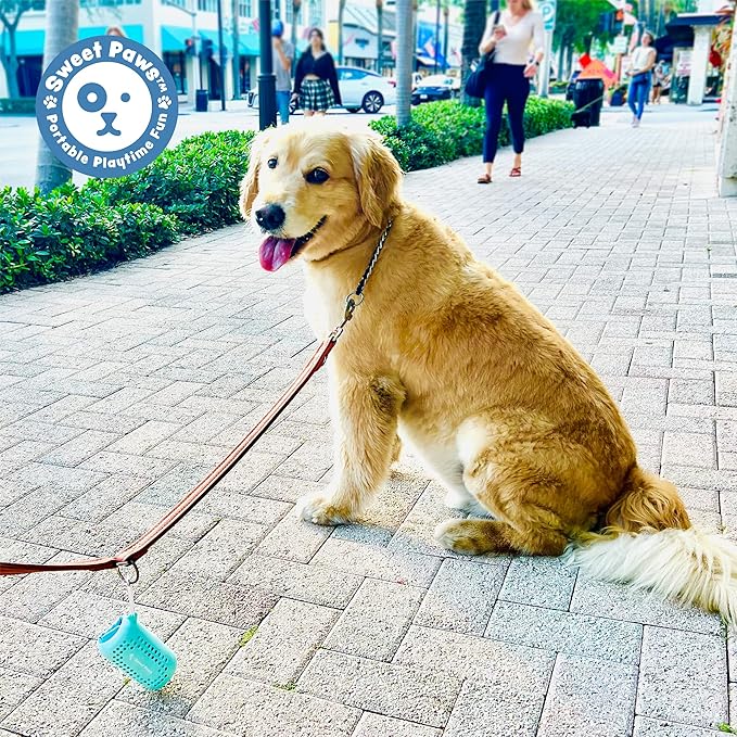 Sweet Paws Portable Dog Paw Towel, Lightweight &amp; Super Absorbent Microfiber, Clips onto Leash, Quick Drying Towel for Dogs Paws with Silicone Case, Dry Dog’s Paws on The Go - 3 Pieces Set - Large