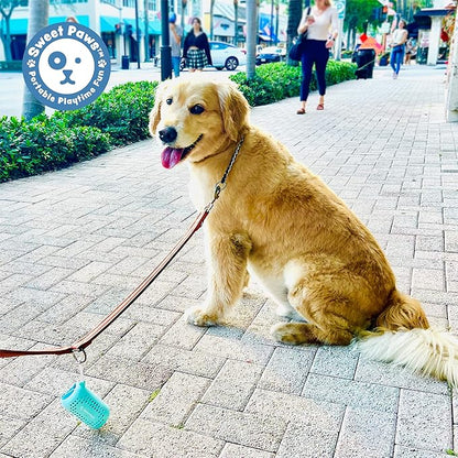 Sweet Paws Portable Dog Paw Towel, Lightweight &amp; Super Absorbent Microfiber, Clips onto Leash, Quick Drying Towel for Dogs Paws with Silicone Case, Dry Dog’s Paws on The Go - 3 Pieces Set - Large