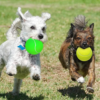 Large Dog Tennis Balls, 4 inch Interactive Big Dog Toy Ball for Small Medium Large Dogs, 4-Pack Dog Toys for Outdoor/Indoor Sports, Fetch, Training &amp; Play