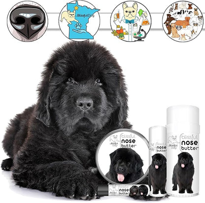 The Blissful Dog Newfoundland Unscented Nose Butter - Dog Nose Butter, 16 Ounce