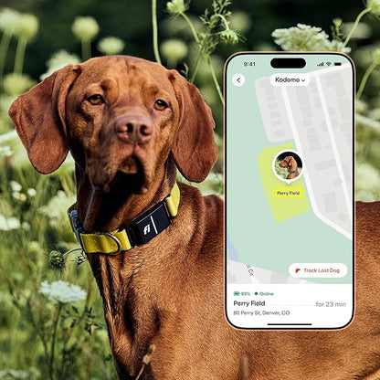 New Fi Series 3+ Smart Dog Tracker Collar – AI GPS for Dogs, Health &amp; Behavior Monitor, Virtual Fence, Escape Alerts, Waterproof, Apple Watch Compatible 12Mo Membership Included