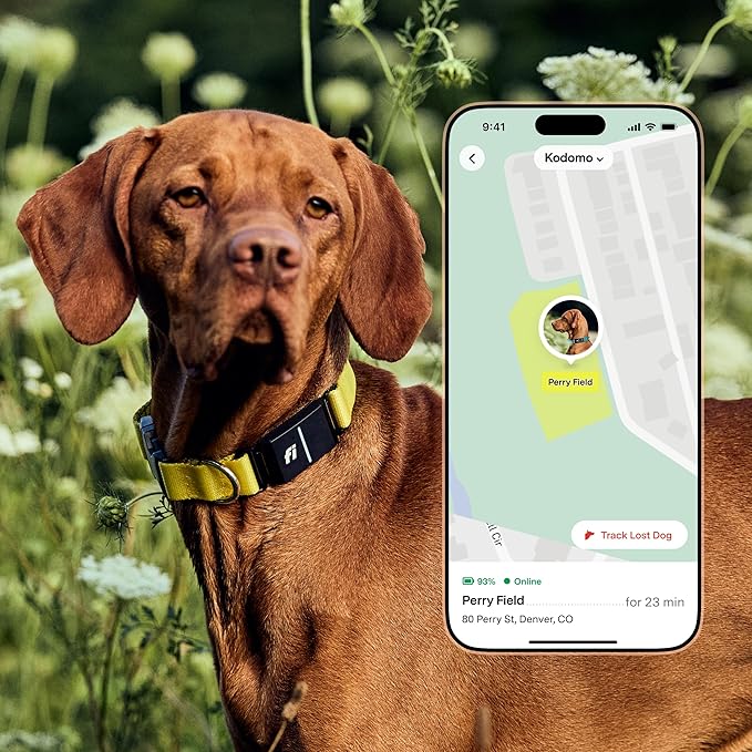 New Fi Series 3+ Smart Dog Tracker Collar – AI GPS for Dogs, Health &amp; Behavior Monitor, Virtual Fence, Escape Alerts, Waterproof, Apple Watch Compatible 12Mo Membership Included