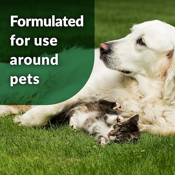 Simple Green Outdoor Odor Eliminator for Pets, Dogs, 1 gallon Refill - Ideal for Artificial Lawns &amp; Patio, Milky White (Pack of 2)