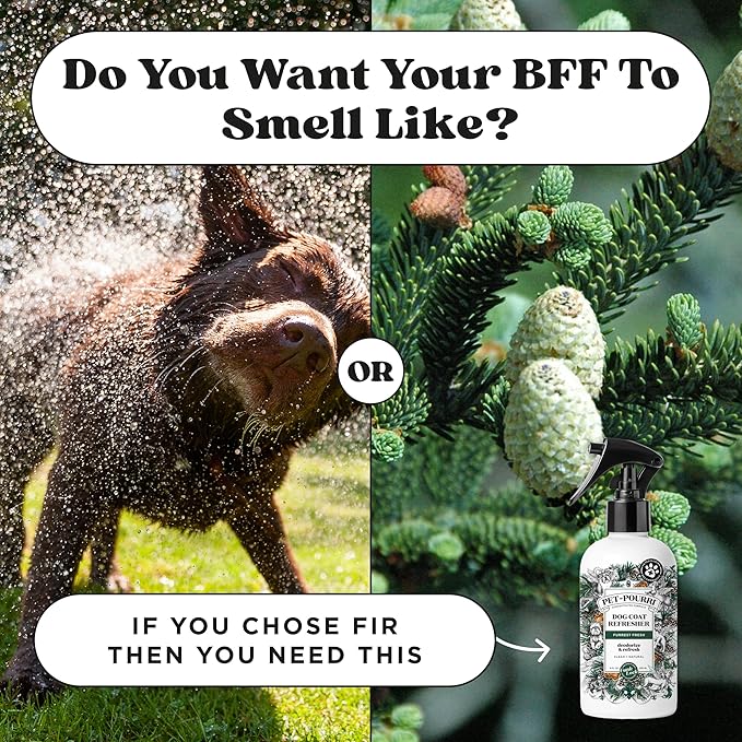 Poo-Pourri Furrest Fresh Dog Deodorizing Spray, 8 Fl Oz Grooming Perfume for Dog Coat, Pet Odor Neutralizer with Essential Oils, Vet Recommended, Paraben &amp; Sulfate-Free Fir, Amber, &amp; Cedarwood Scent