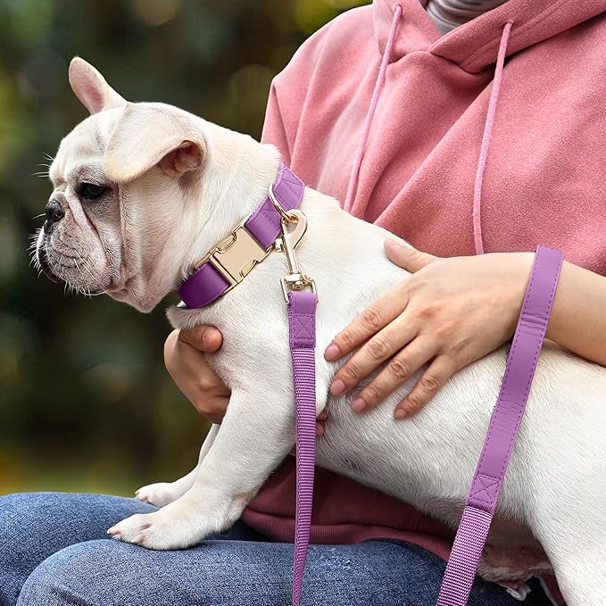 PET ARTIST PU Leather Dog Collar, Bright &amp; Stylish Purple Dog Collar Girl with Quick Release Gold Metal Buckle, Soft Nylon Padded Durable Pet Collars Adjustable for Medium Dogs, Neck Fit 13-19"