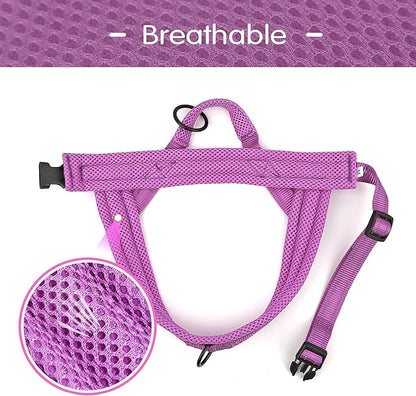 Didog No Pull Dog Harness with Soft Mesh Padded,Reflective &amp; Quick Fit Light Weight Dog Strap Vest Harness,Easy for Walking Training (L:Chest 26-32", Purple)
