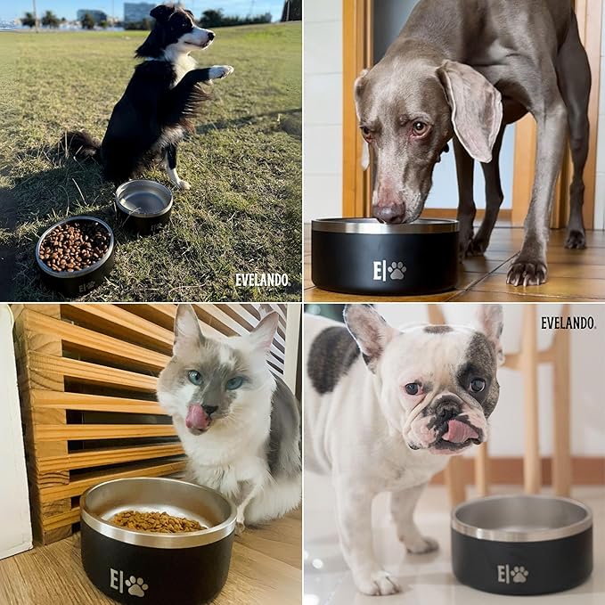 EVELANDO® Premium Dog Food Bowl 32 oz Stainless Steel 4 Cups Small Medium Dog Bowls Non Slip &amp; BPA-Free S M L Pet Water Bowl Platos para Perros Indoor Outdoor Pet Dish Feeder Water and Food Dish