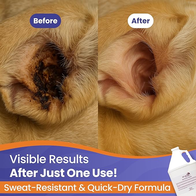 Dog &amp; Cat Ear Cleaner Solution with Aloe Vera &amp; Tea Tree Oil – Removes Itchy Ear Wax, Debris, Odor – Ears Wash, Drops &amp; Flush for Pets, Dog Ears Cleaning, Cat Cleaner, 16 oz- 4 Gallons