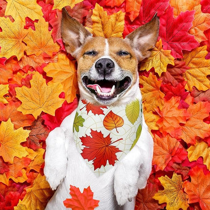 Abbylike 50 Pcs Fall Dog Bandana Bulk Maple Leaves Bandana for Dogs Triangle Kerchief Bibs Scarf for Small Medium Large Pet Autumn Thanksgiving Costume Accessories, 25 Styles (25.6 x 17.7 x 17.7 Inch)
