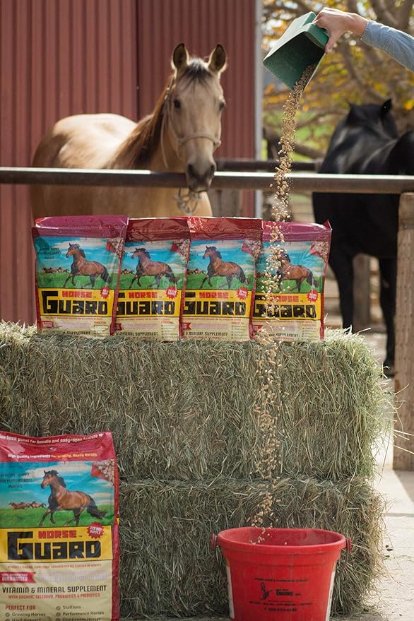 Horse Guard 10 lb, Equine Vitamin Mineral Supplement with Organic Selenium &amp; Vitamin E