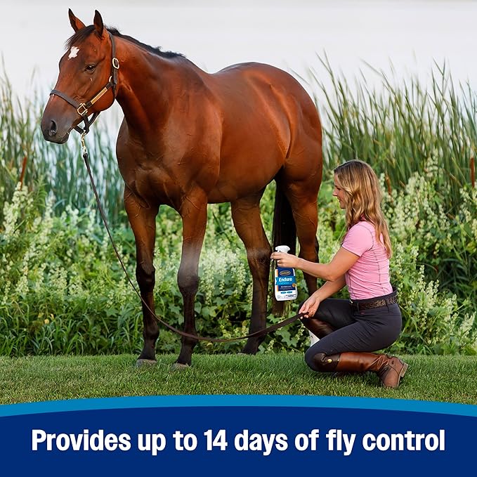 Farnam Endure Sweat-Resistant Fly Spray for Horses, Lasts Up to 14 Days, Protects Against Flies, Gnats, Mosquitoes, Ticks &amp; Lice, 128 oz.