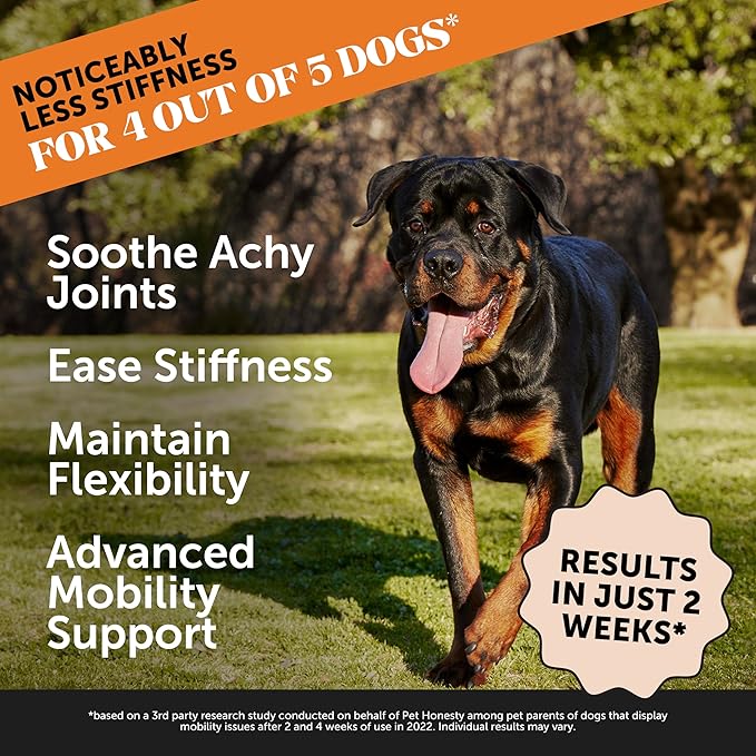 Hip &amp; Joint Health Max Strength - Natural Joint Supplement for Dogs Chews - Glucosamine, Omega-3s, Chondroitin, Green Lipped Mussel - Help Improve Mobility, May Reduce Discomfort (90 ct)