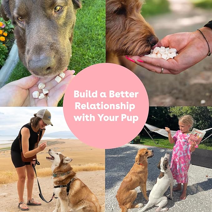 Pupford Freeze Dried Training Treats for Dogs &amp; Puppies, 450+ One Ingredient Bites (Sweet Potato, 4 oz)