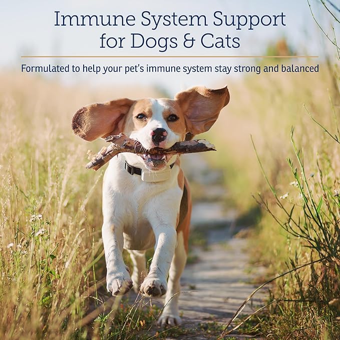 Rx Vitamins CurcuWIN - Curcumin for Dogs &amp; Cats - Vitamins and Supplements, Allergy Relief - Provides Immune Support &amp; Aids Digestive Support - Joint Supplement - 90ct