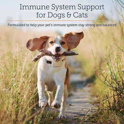 Rx Vitamins CurcuWIN - Curcumin for Dogs &amp; Cats - Vitamins and Supplements, Allergy Relief - Provides Immune Support &amp; Aids Digestive Support - Joint Supplement - 90ct