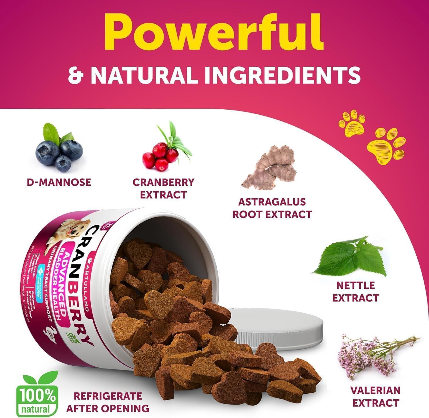 Dog UTI Treatment 240 Chews 2-Pack Cranberry Bladder &amp; Kidney Support