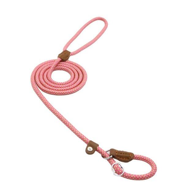 Nylon Pup Set – Premium Dog Collar &amp; Leash | Reinforced Stitching, Soft Adjustable Fit &amp; Modern Style